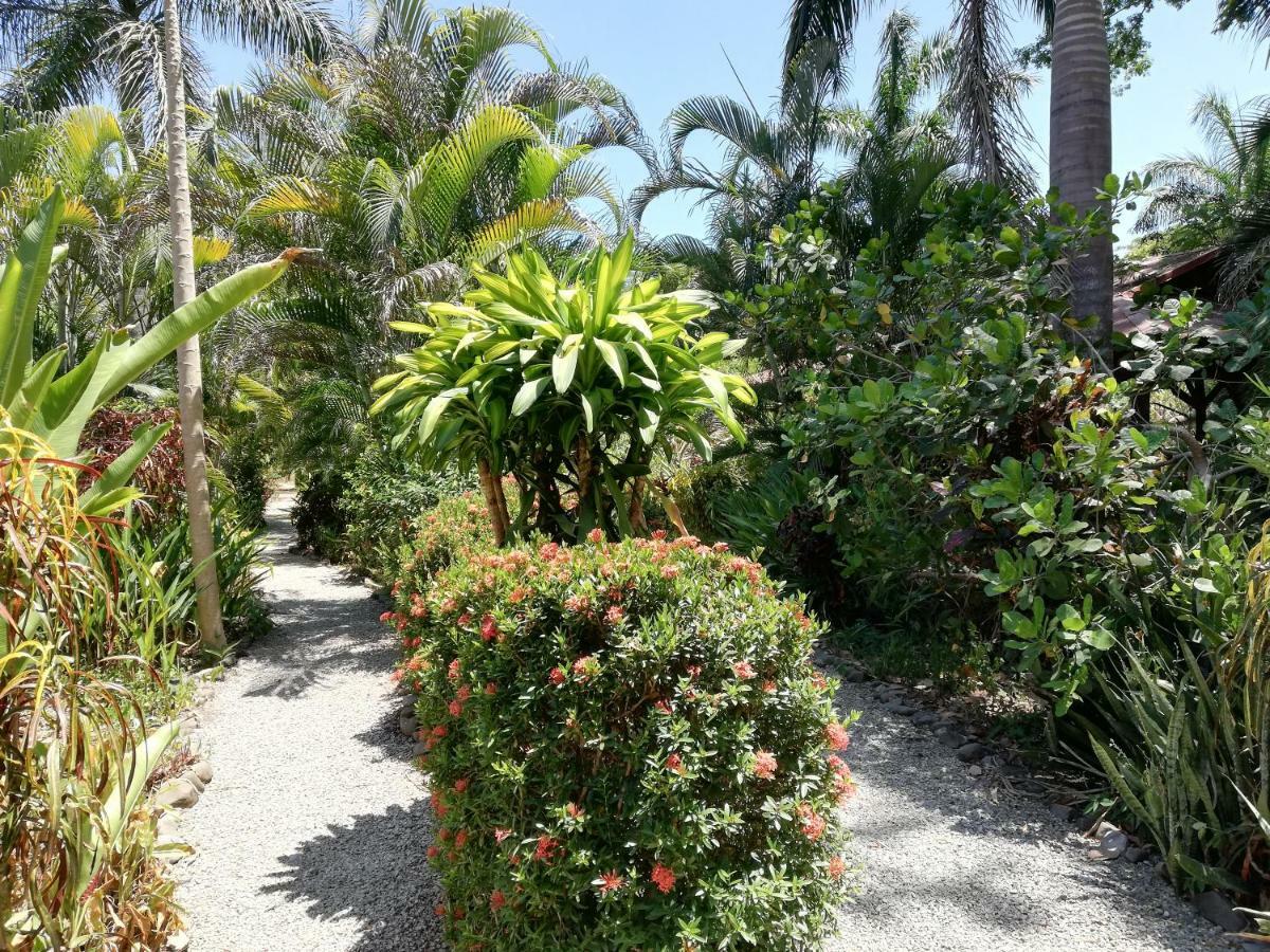 Cabuya  Mundo Goub'Art Bed & Breakfast エクステリア 写真