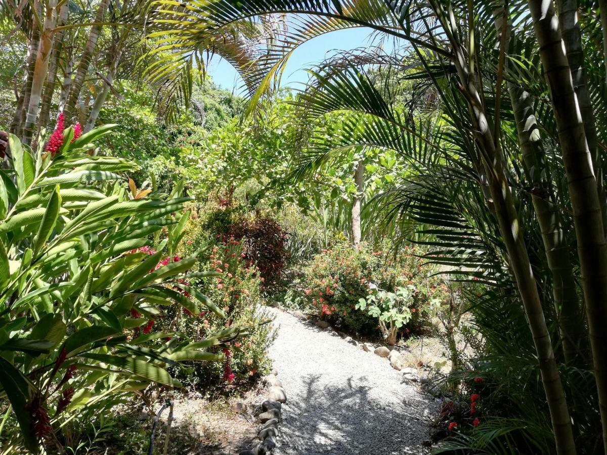 Cabuya  Mundo Goub'Art Bed & Breakfast エクステリア 写真