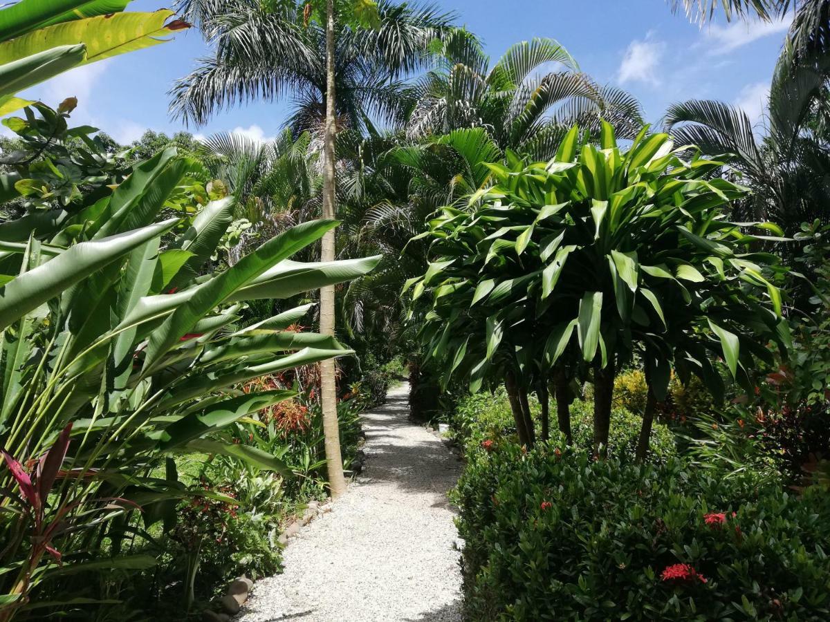 Cabuya  Mundo Goub'Art Bed & Breakfast エクステリア 写真
