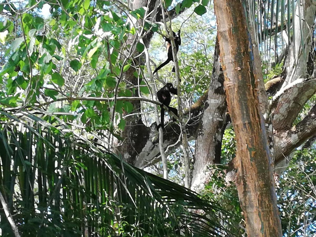 Cabuya  Mundo Goub'Art Bed & Breakfast エクステリア 写真